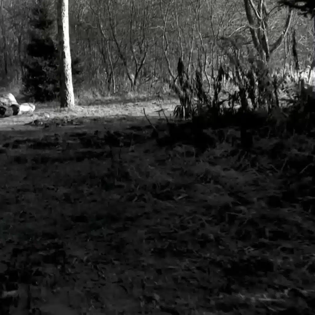 HLAVNÍ ZPRÁVY (1127)