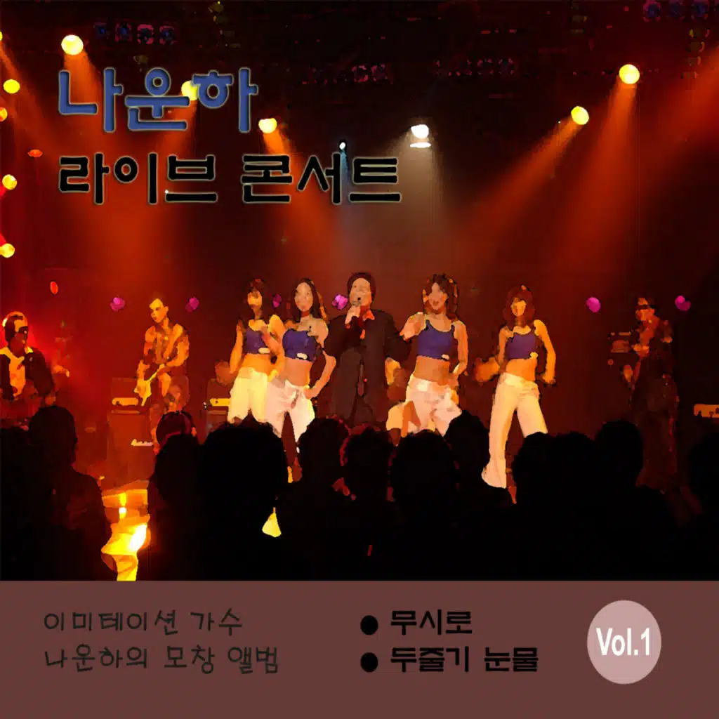 나운하 라이브 콘서트