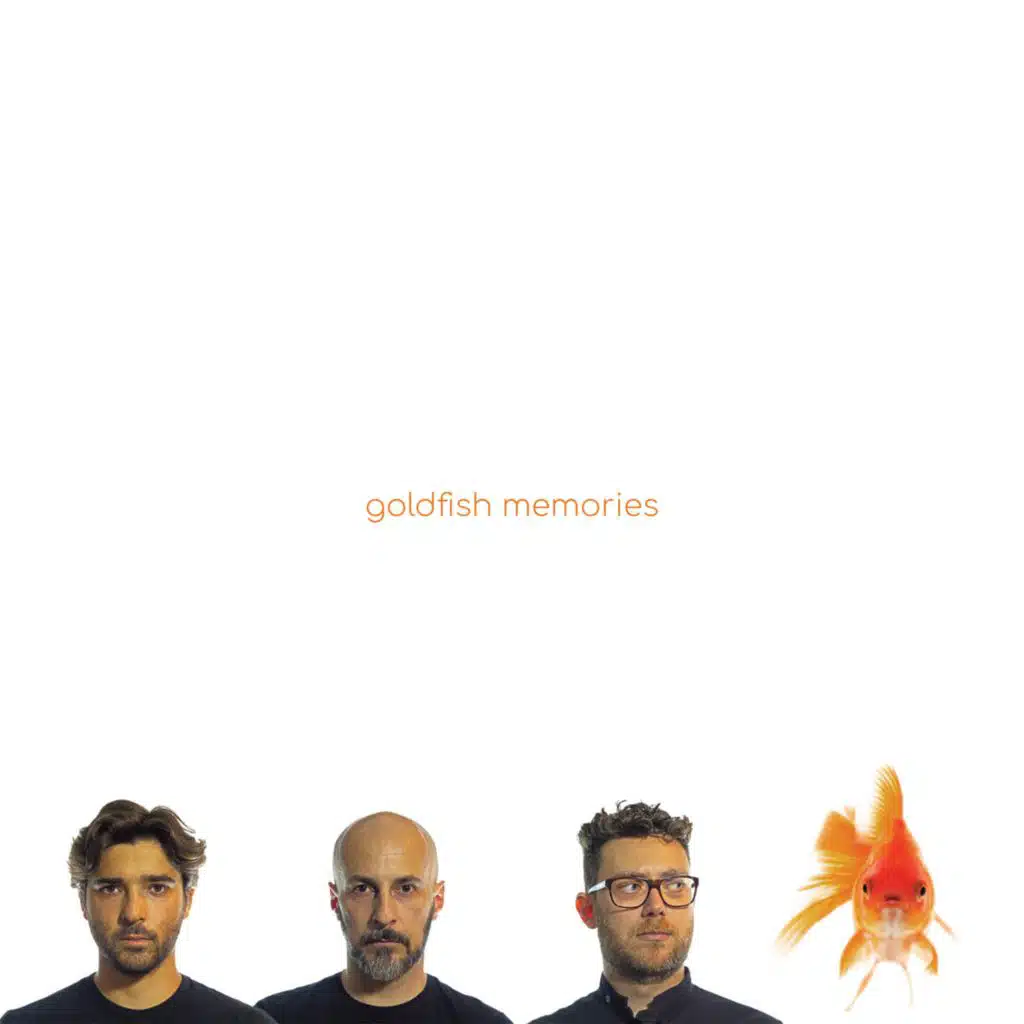 Goldfish Memories