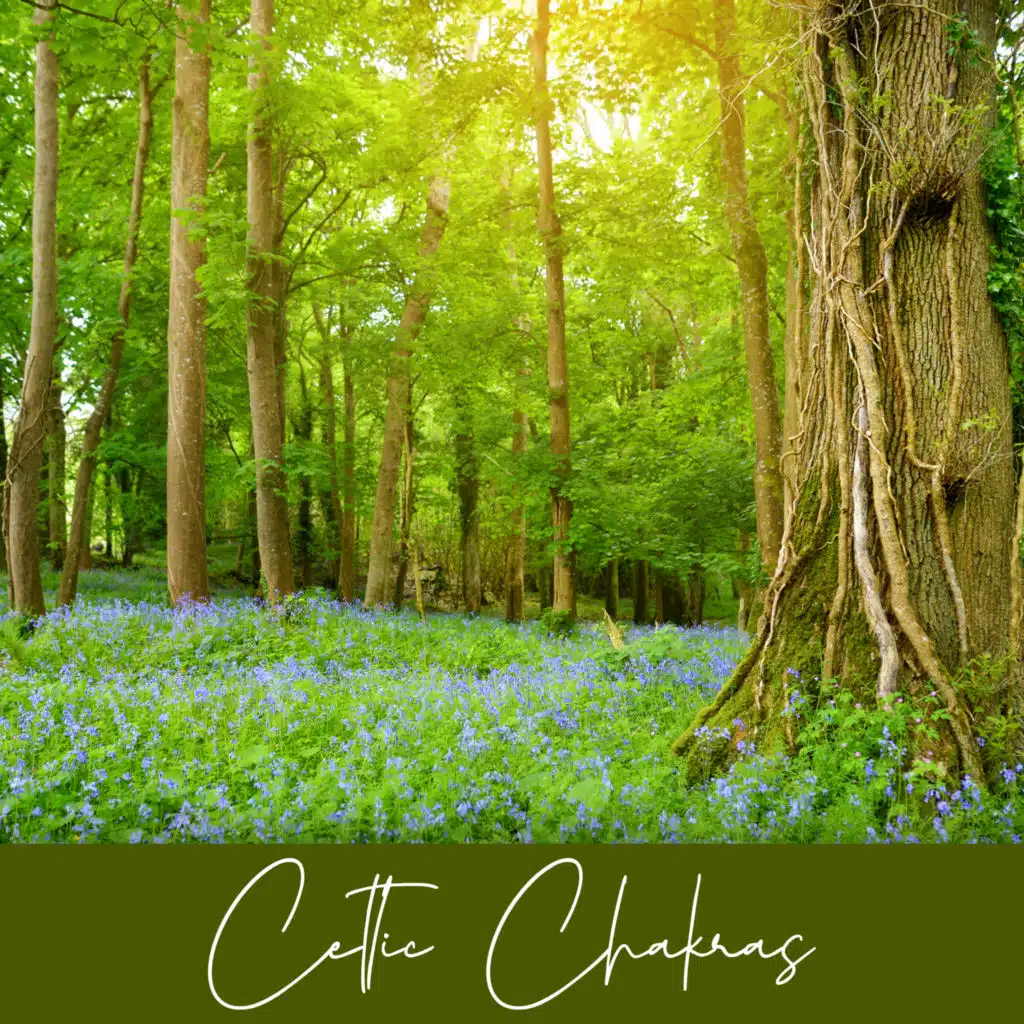 Celtic Chakras: Connect with Ancient Celtic Energy and Open Your Chakras