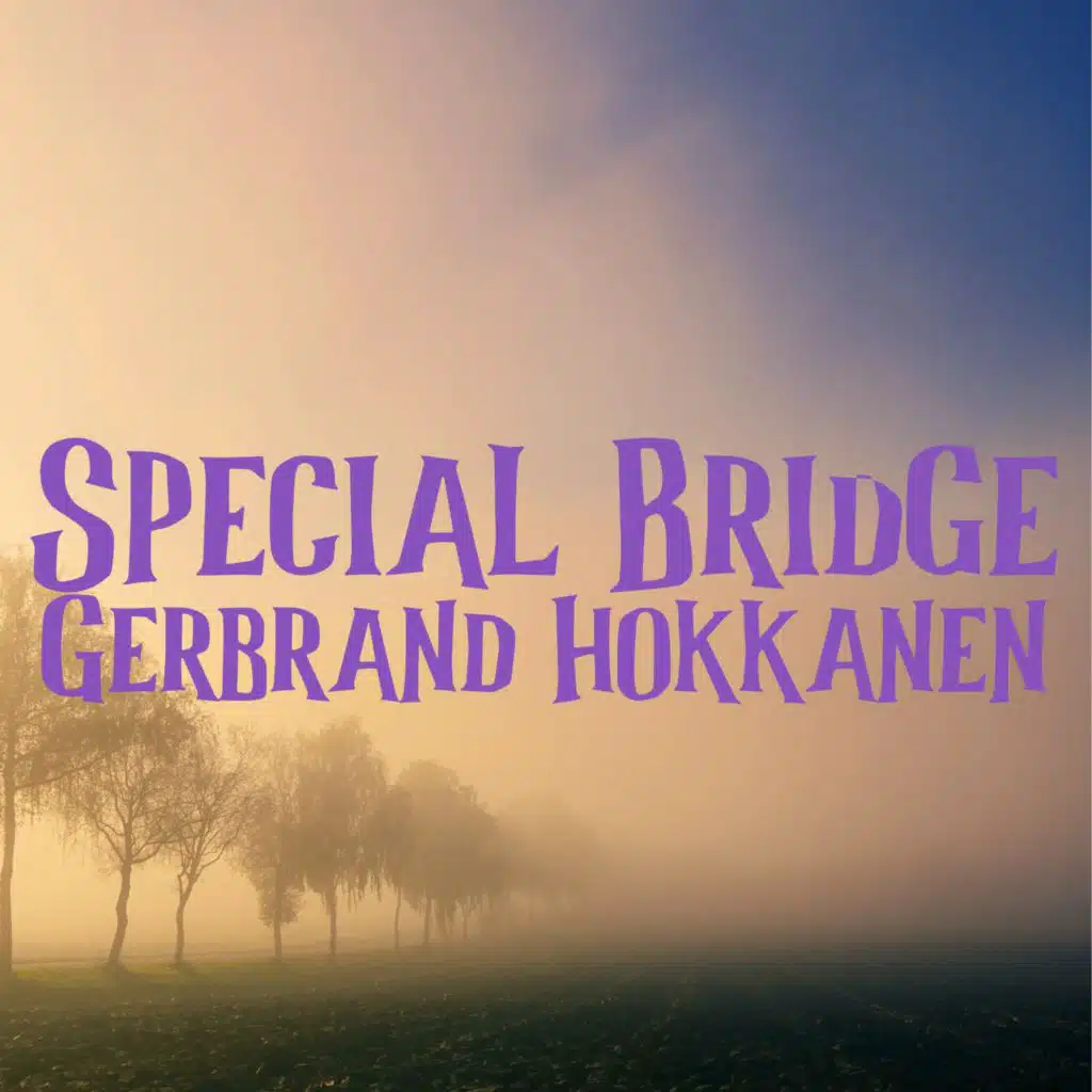Special Bridge