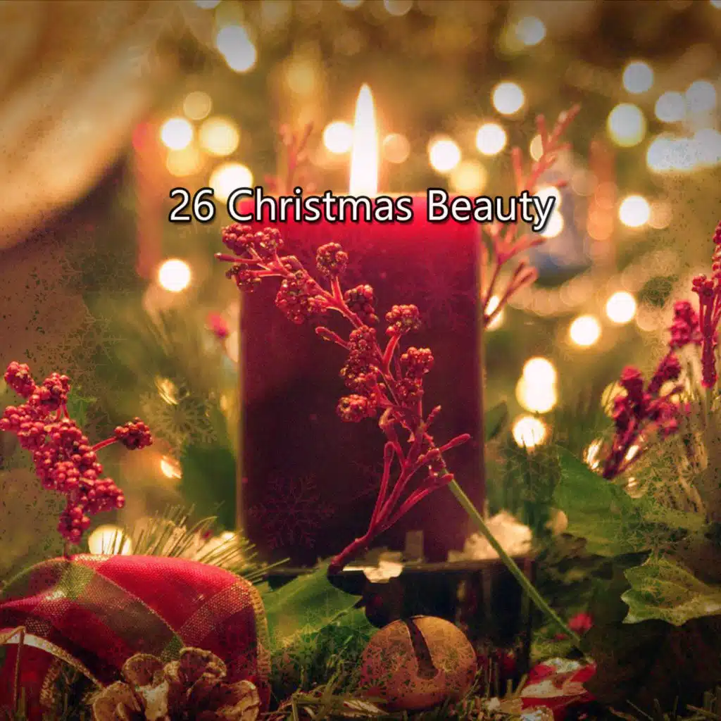 26 Christmas Beauty