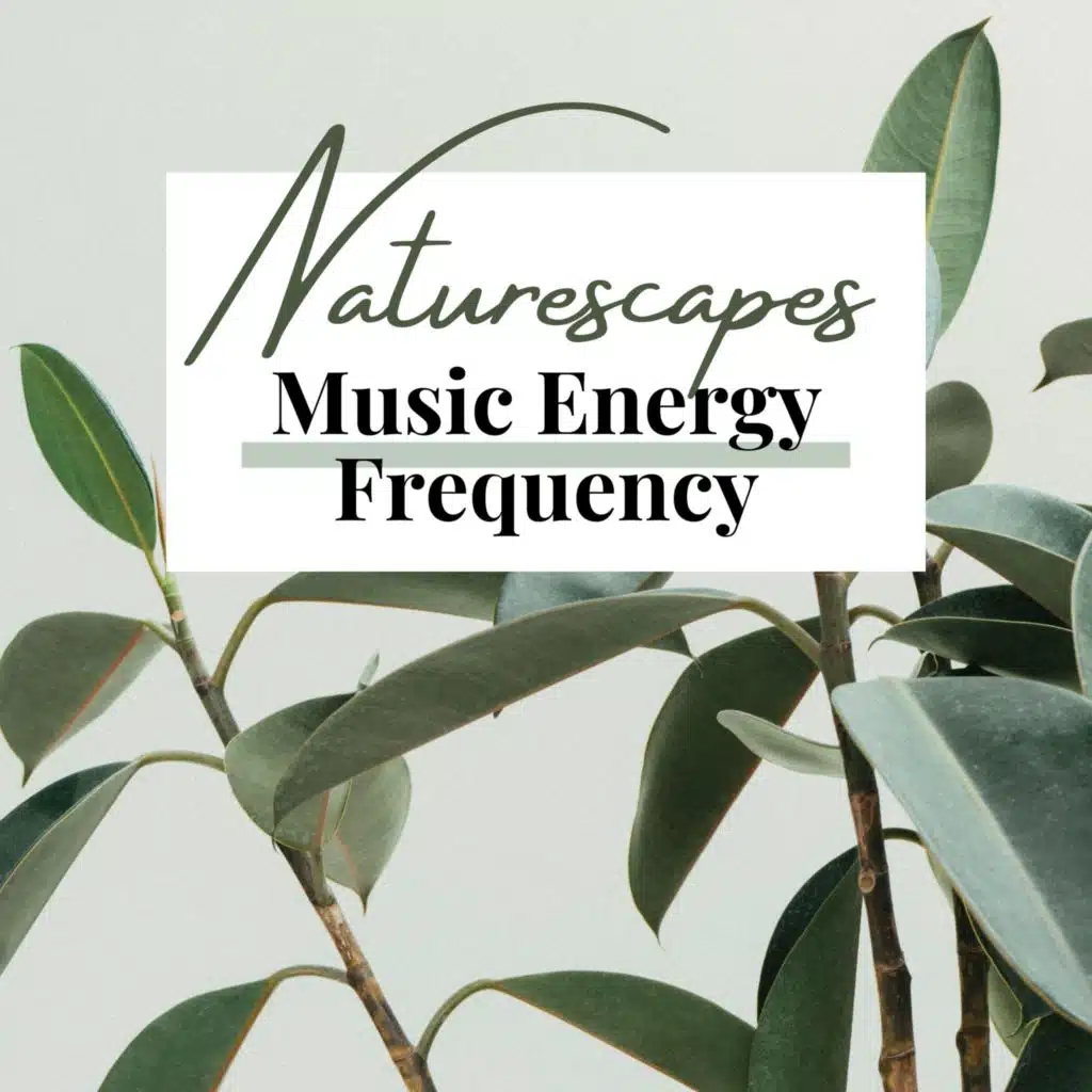 Naturescapes for Mindfulness Meditation
