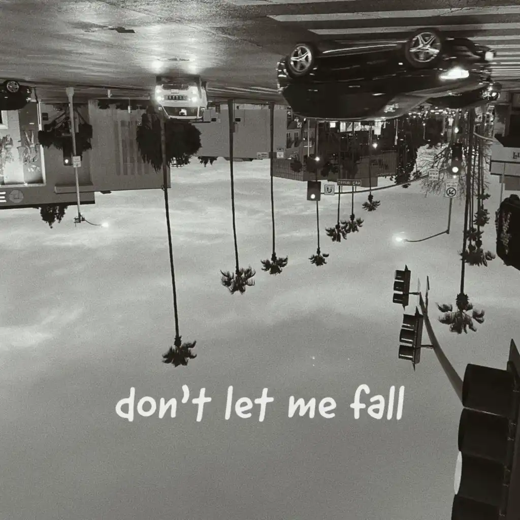 don't let me fall (feat. yaeow)