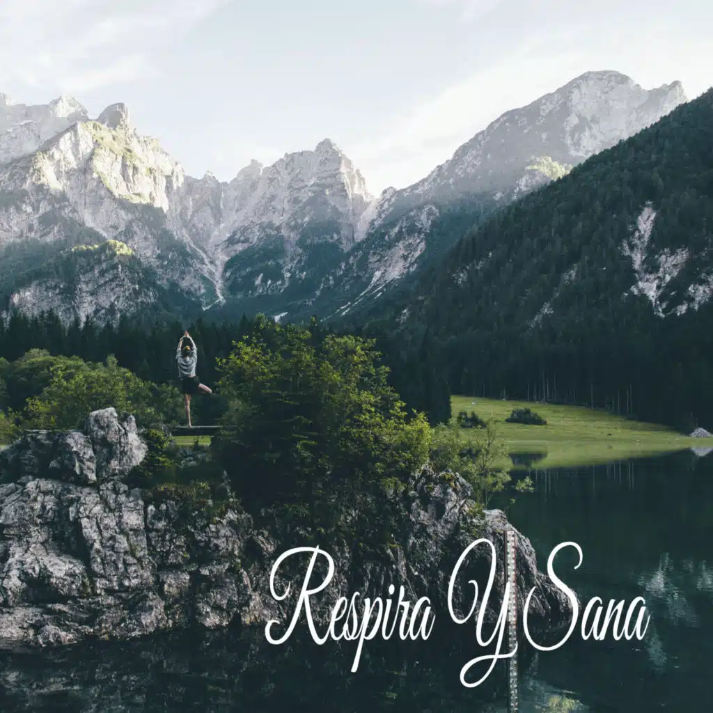 Sonido Del Bosque y Naturaleza & Musica relajante dormir