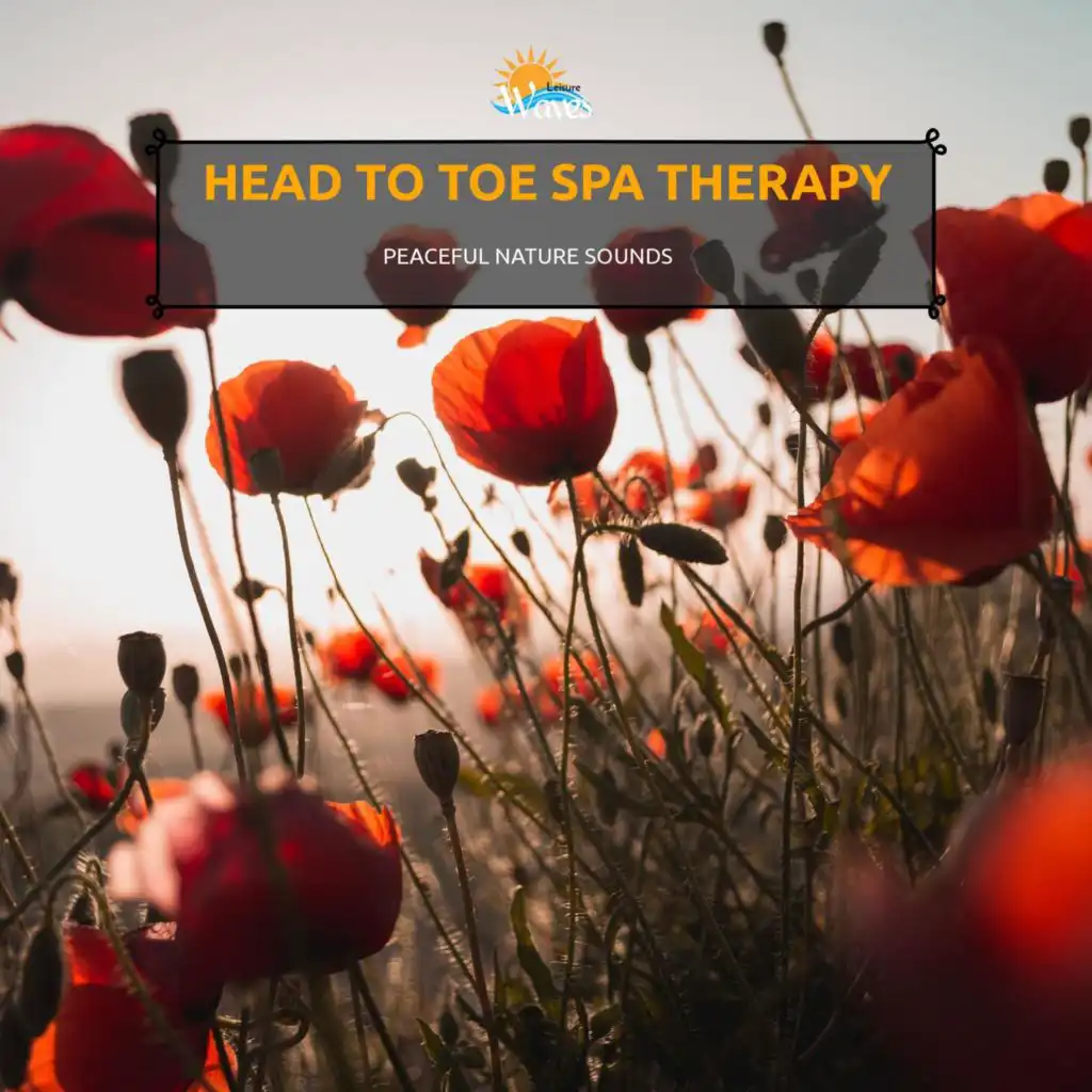 Head to Toe Spa Therapy - Peaceful Nature Sounds