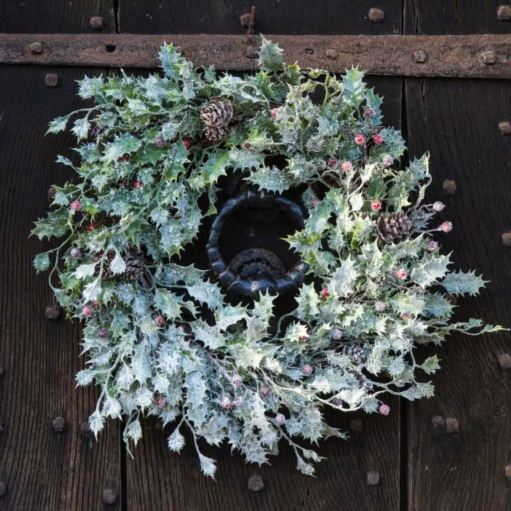 Dress your Home for Christmas with colour & Scent from Indoor plants