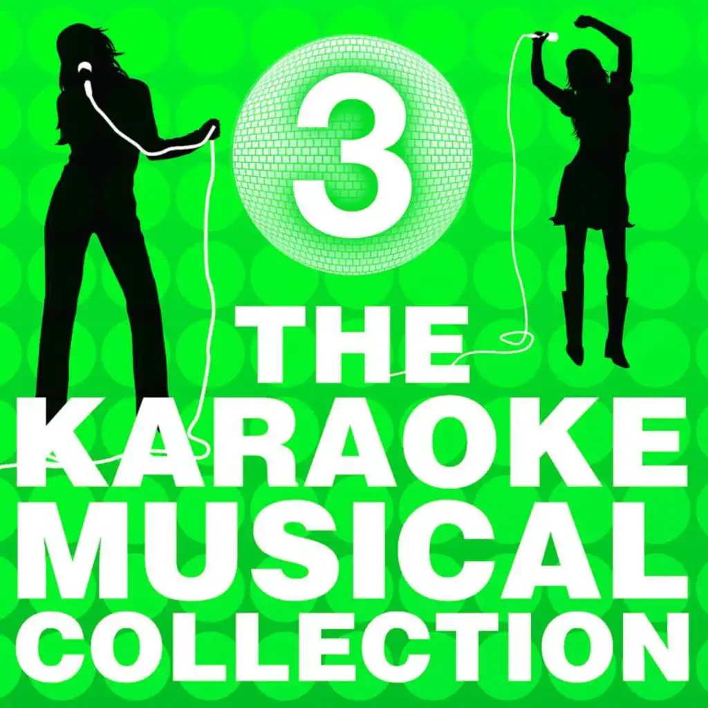 The Karaoke Musical Collection (Vol. 3)