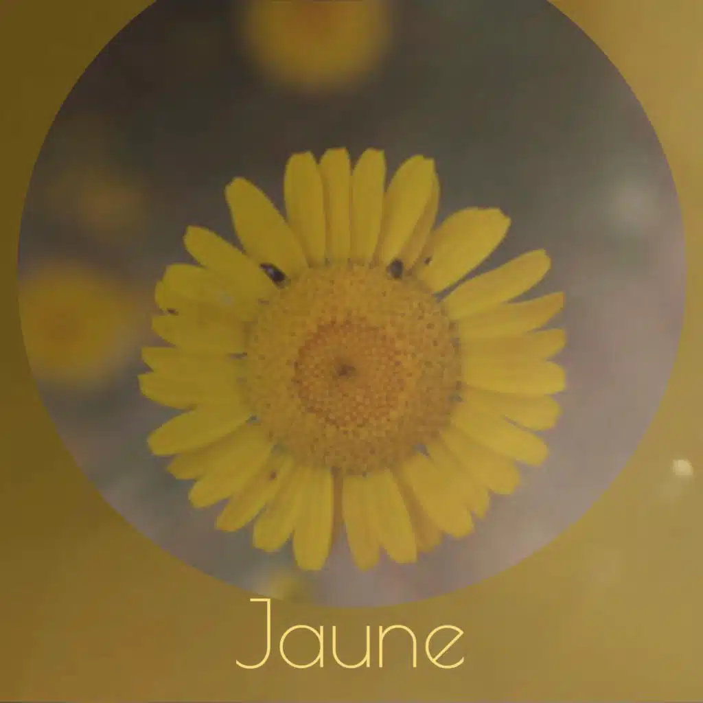 Jaune