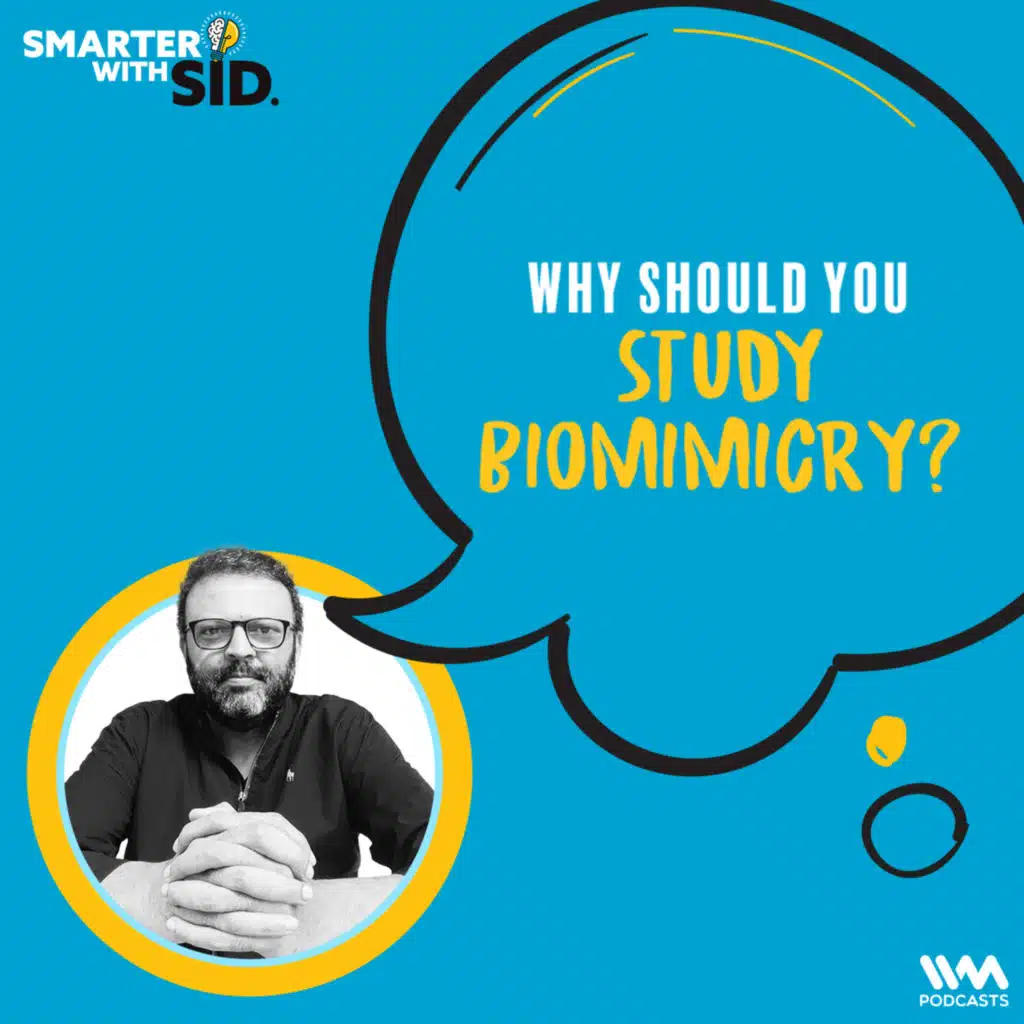 Why should you study Biomimicry?