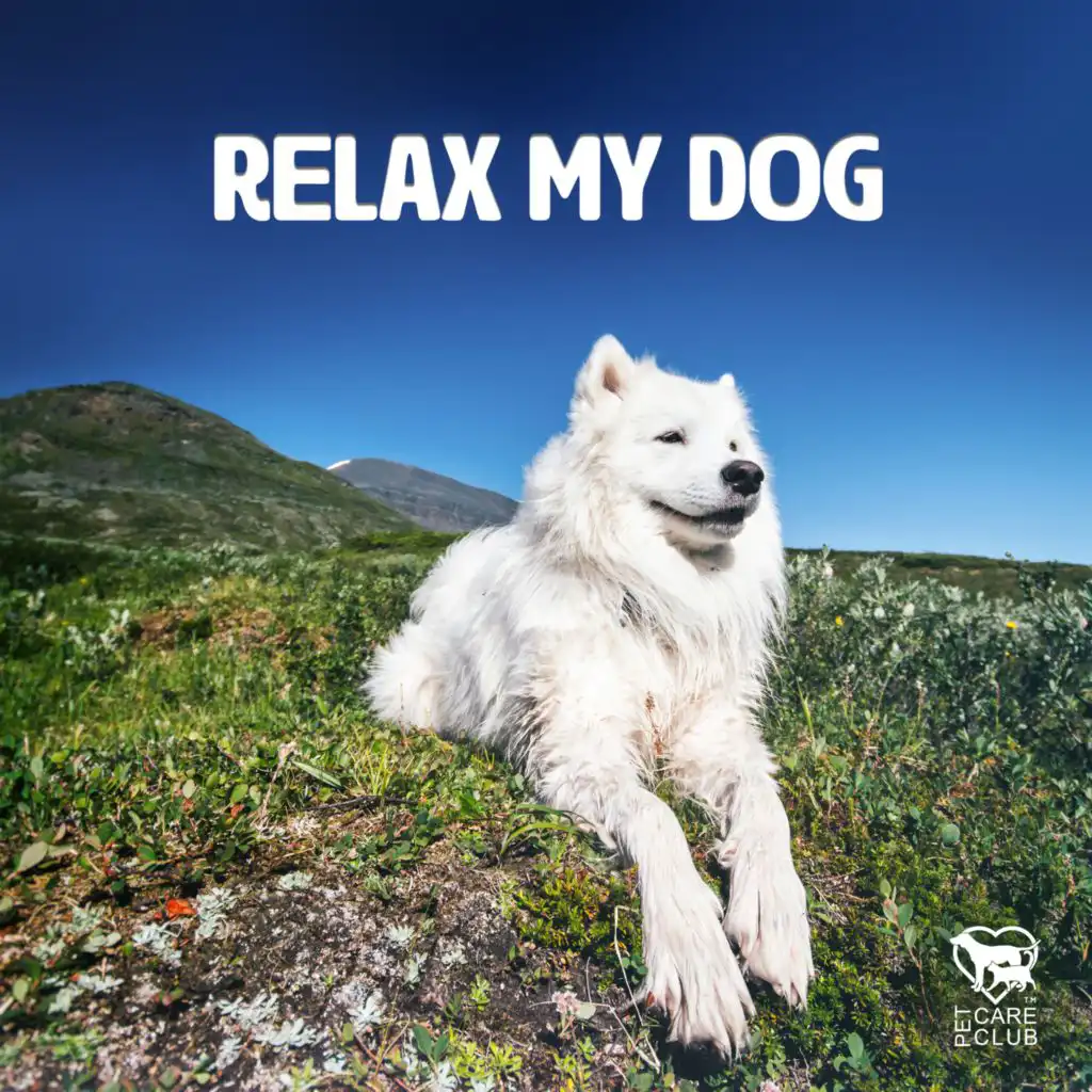 Relax My Dog