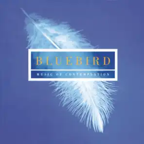 Bluebird - Music Of Contemplation