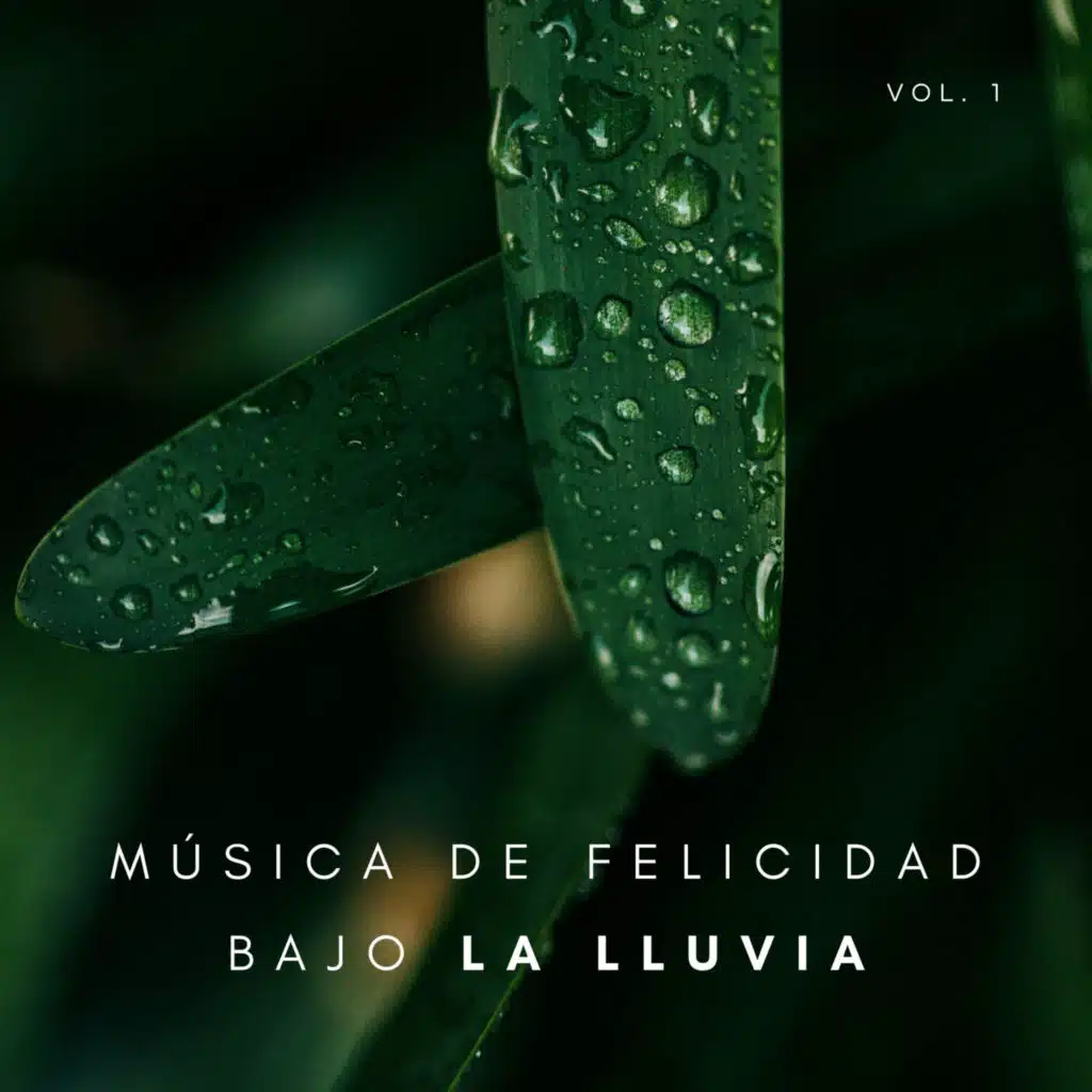 Musica para Dormir Radio, Ambiente Relajante de Música & Música relajante con sonidos de la naturaleza