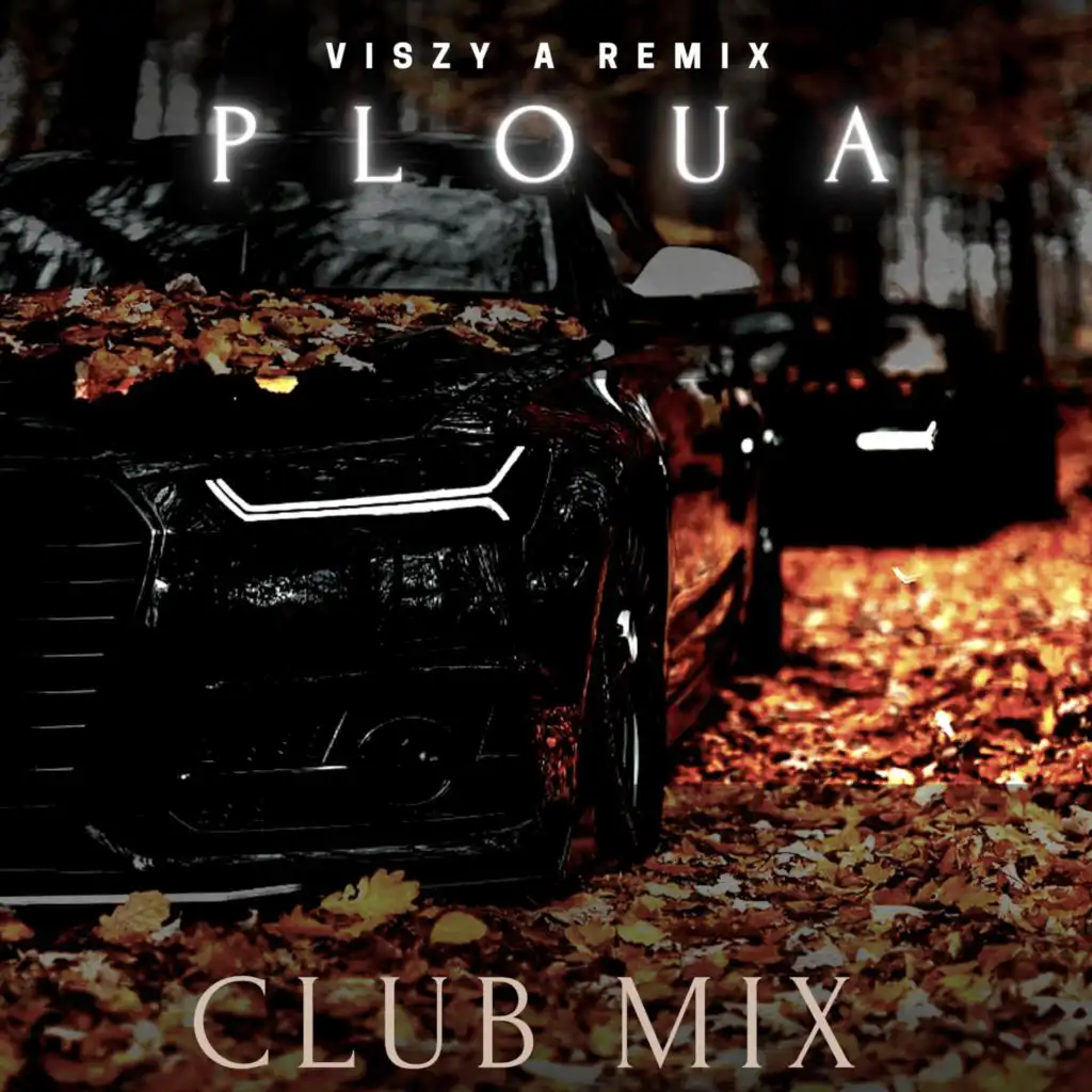 Ploua (Viszy A Remix)