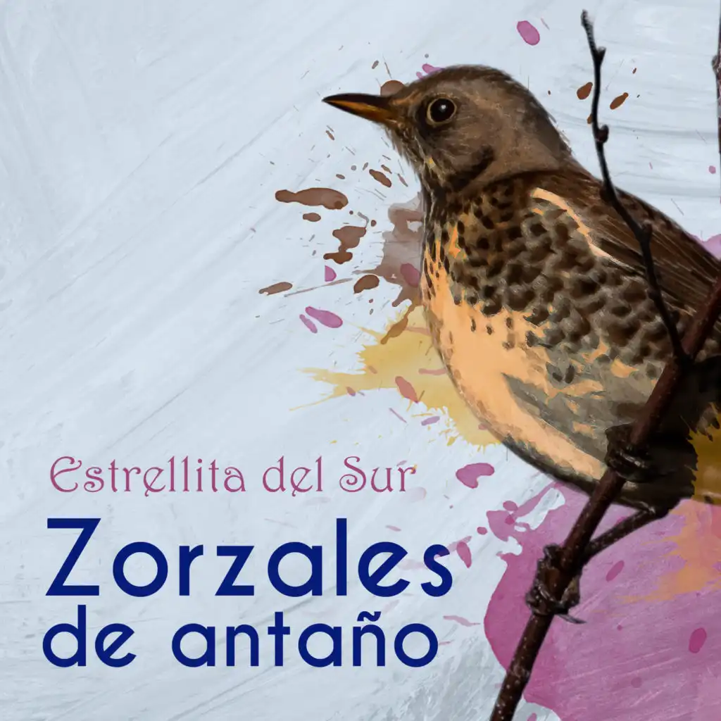 Zorzales de Antaño / Estrellita del Sur