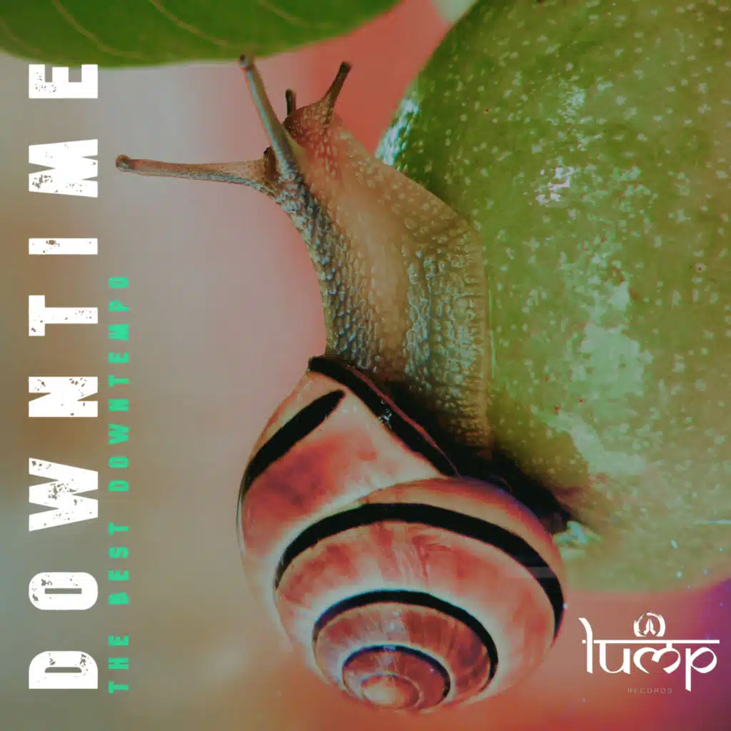 Moon Chant (Foxall Remix)