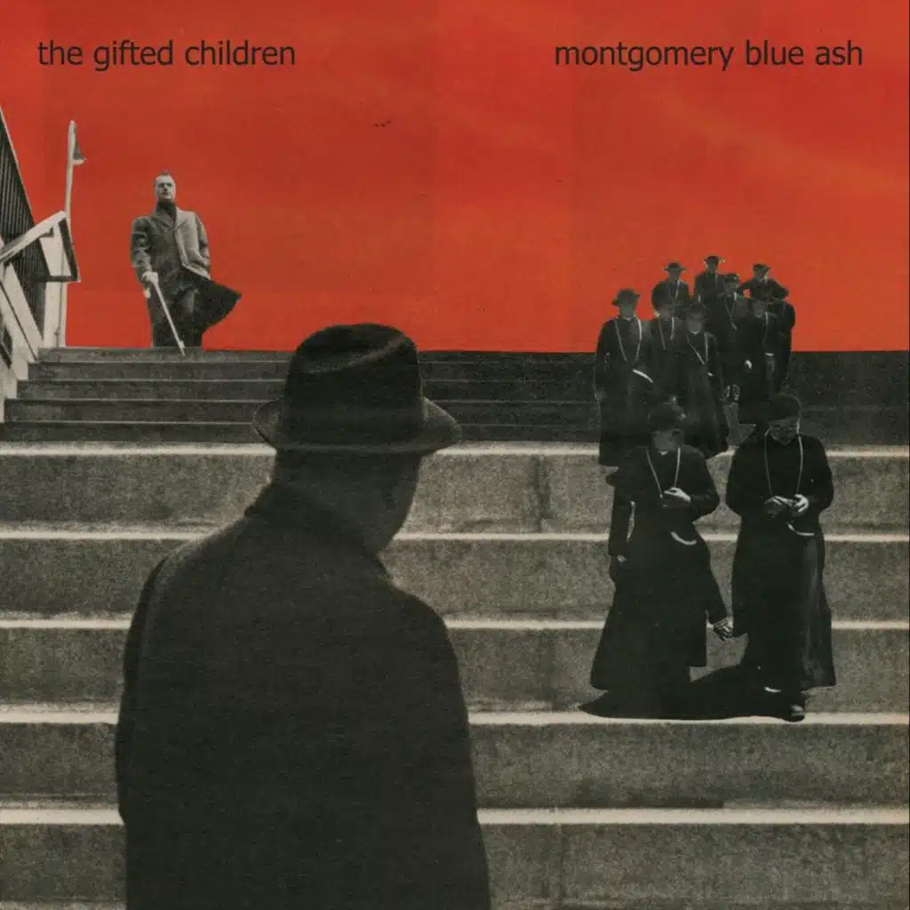 Montgomery Blue Ash