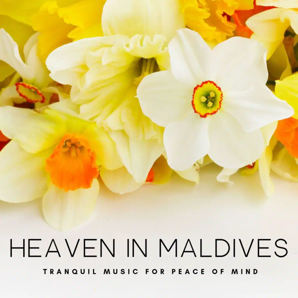 In the Middle of the Jungle