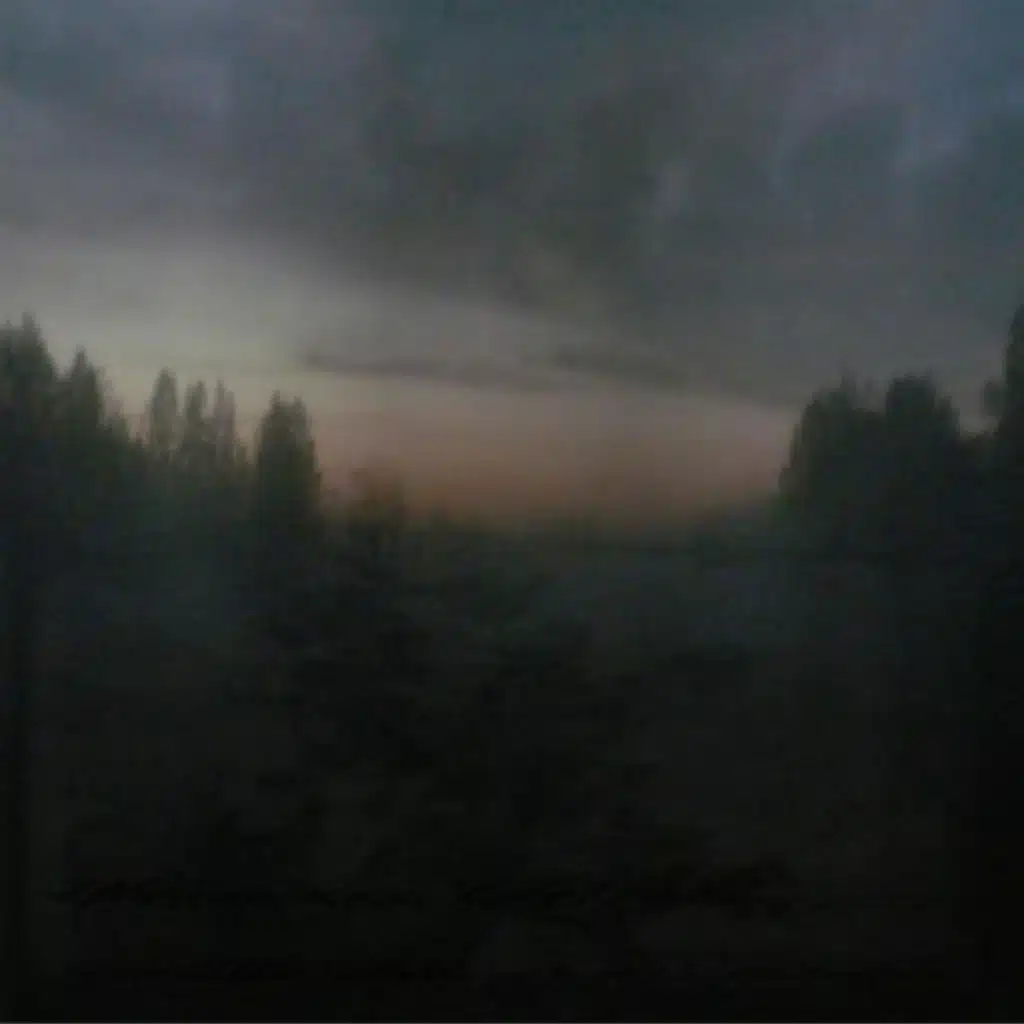 Withering in her memory