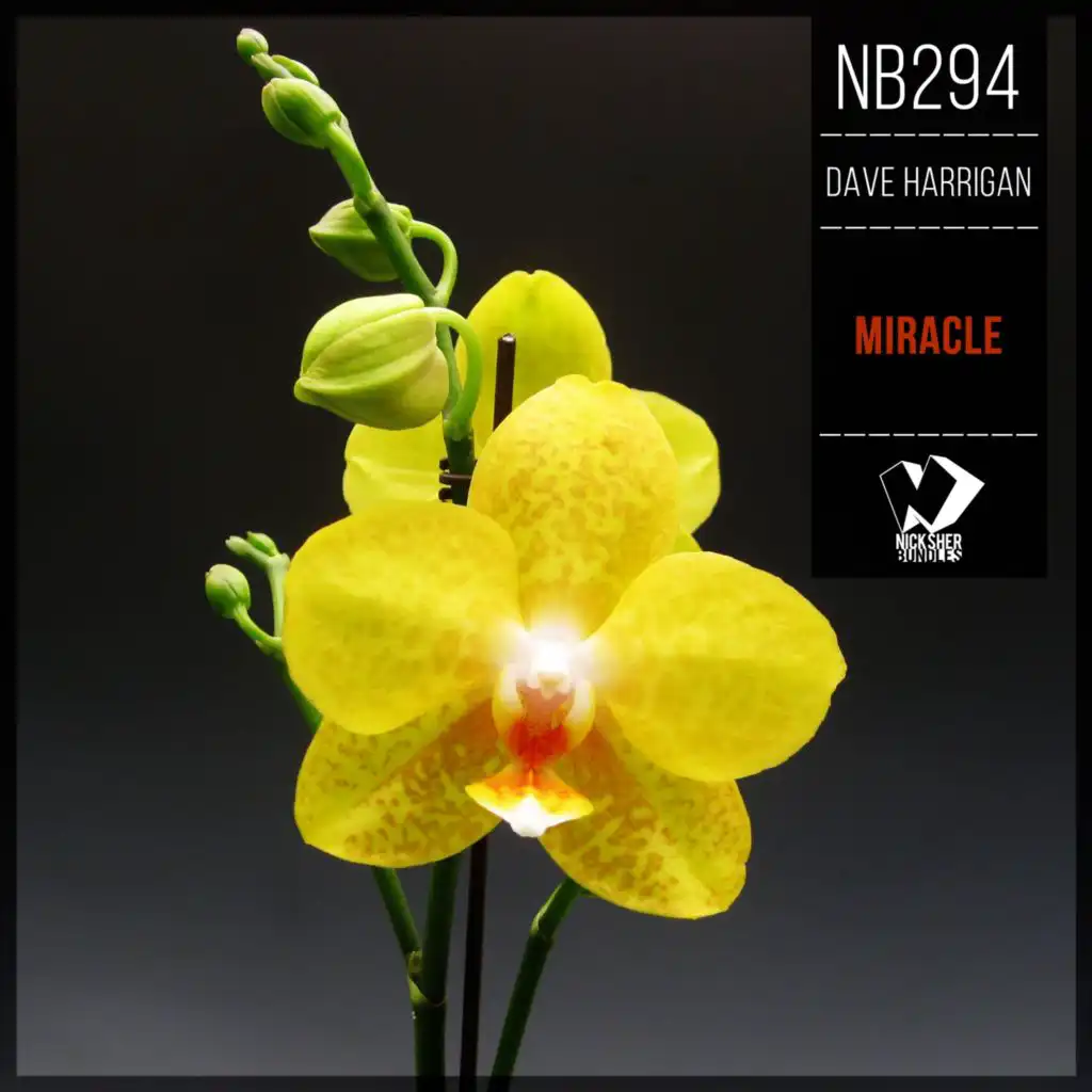 Miracle (Instumental Mix)