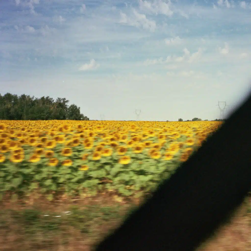 tu verras / ode à Ronchin