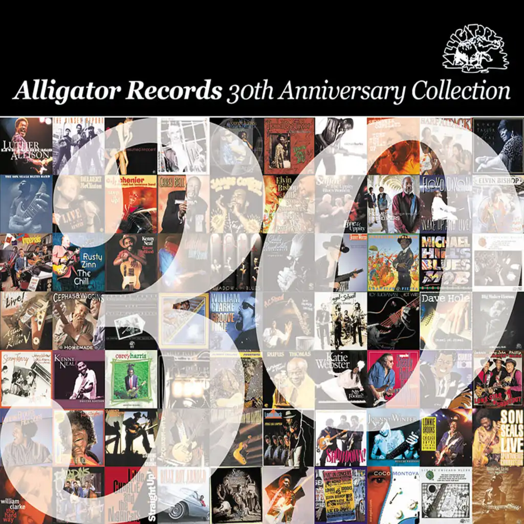 The Alligator Records 30th Anniversary Collection
