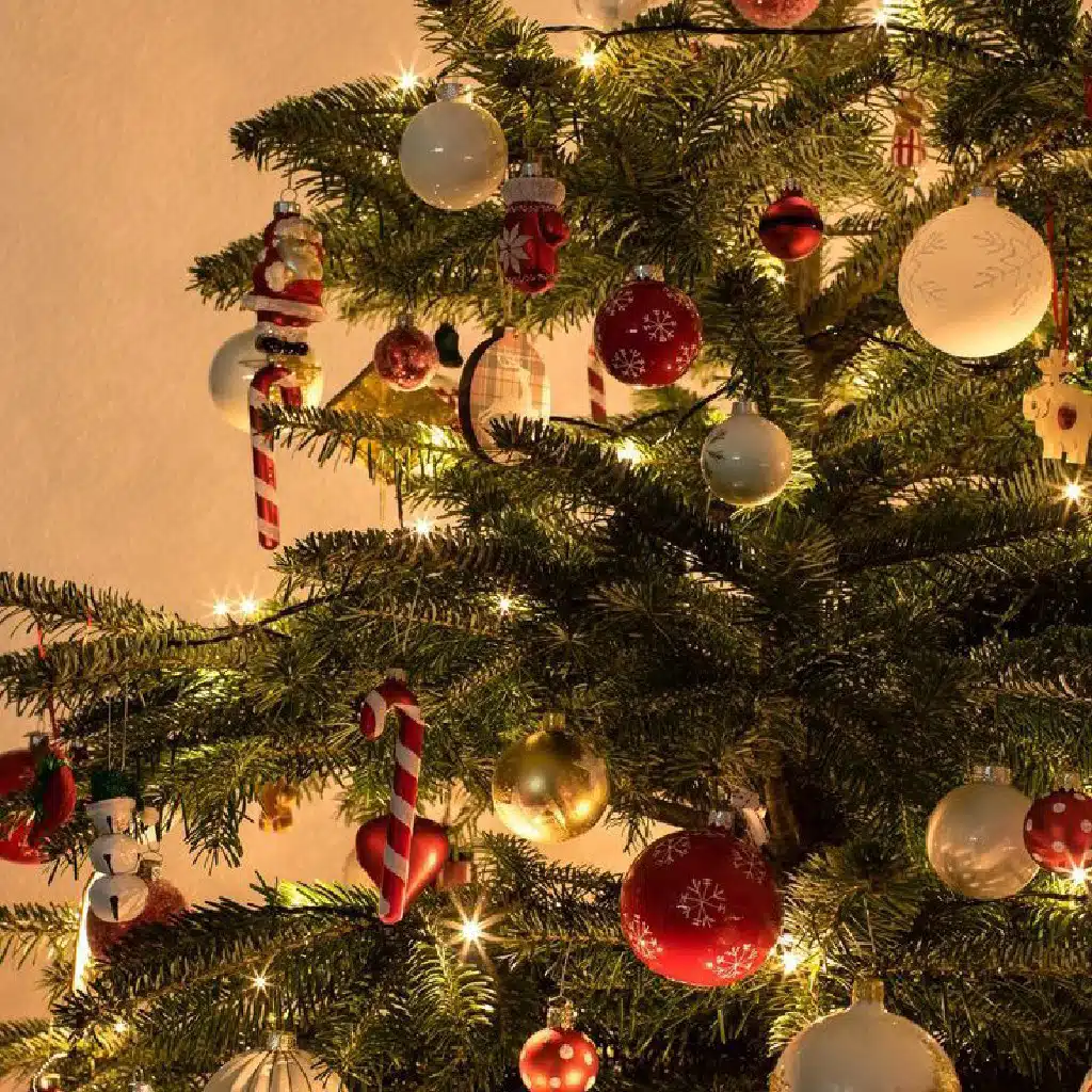 the songs are catchy but they're overplayed