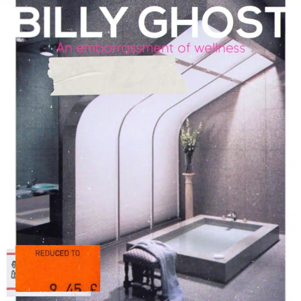 An embarrassment of wellness