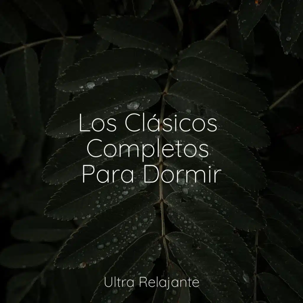 Los Clásicos Completos Para Dormir