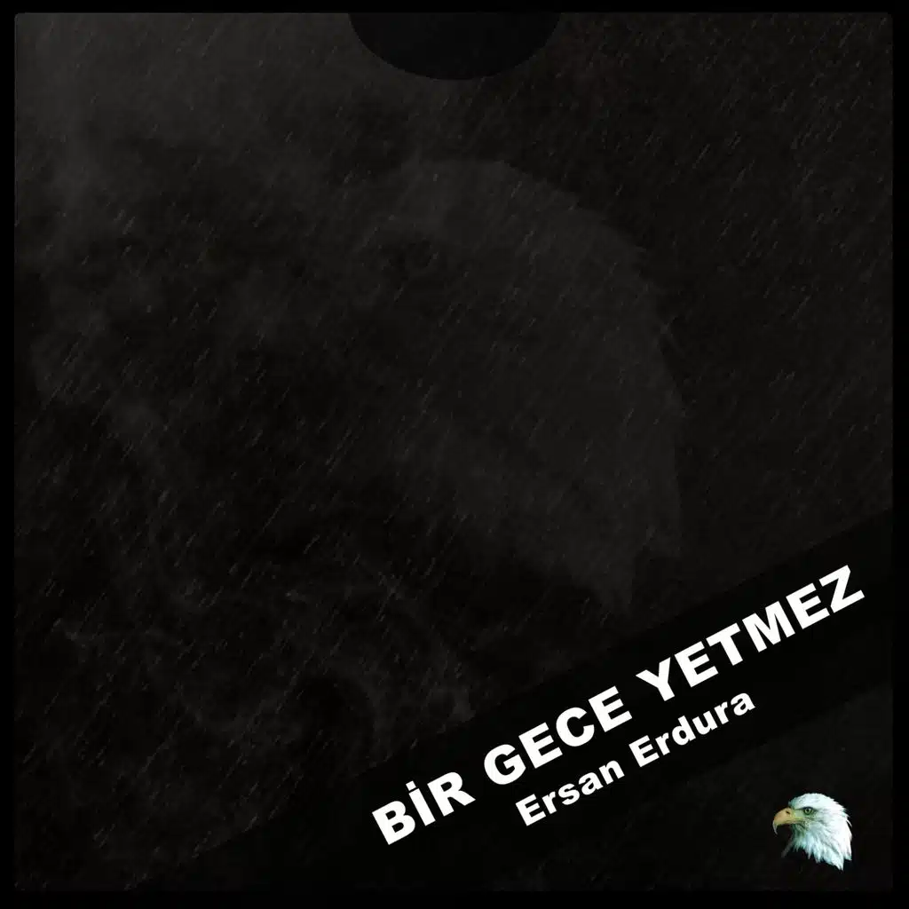 Bir Gece Yetmez