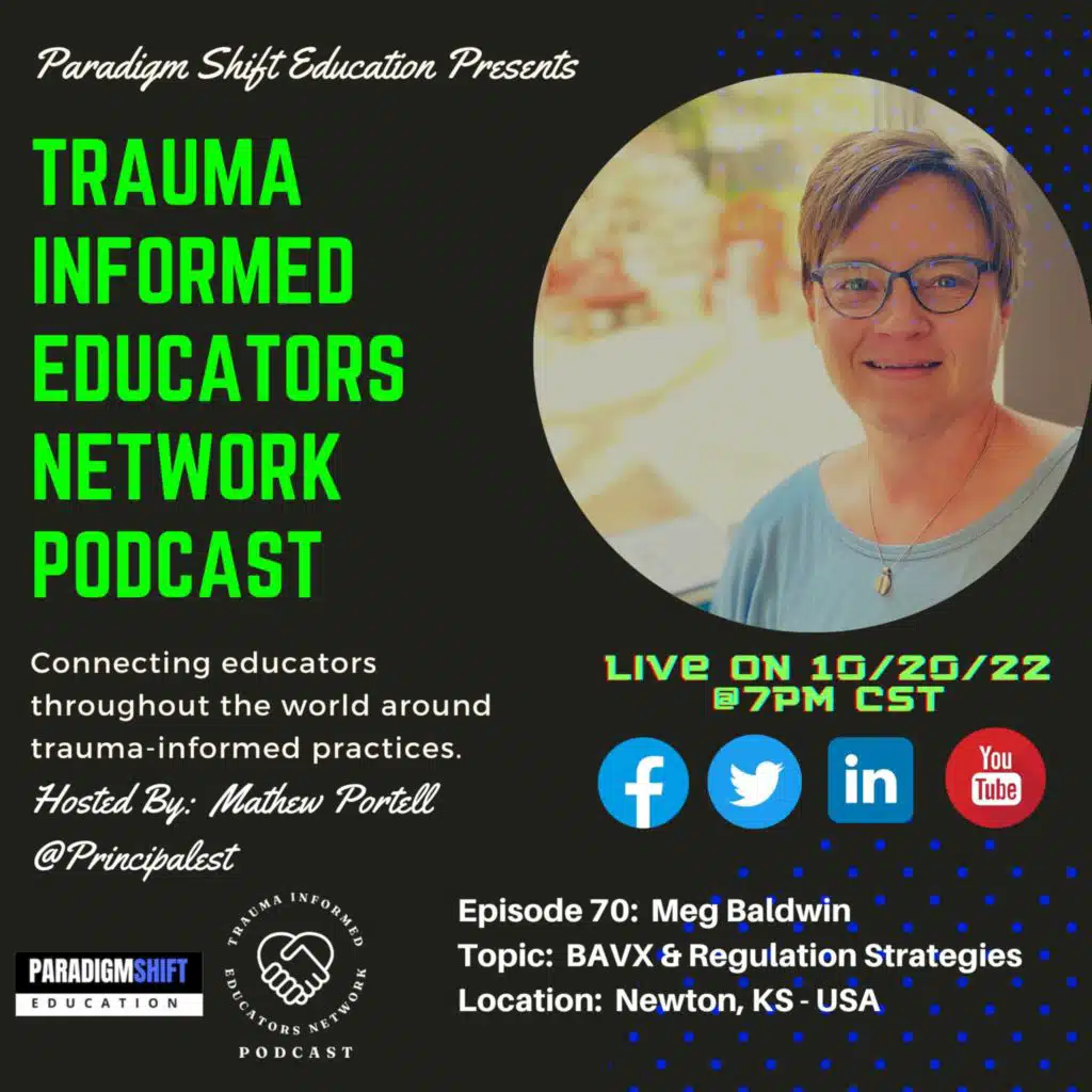 Episode #70:  Meg Baldwin - Trauma Informed Educators Network Podcast