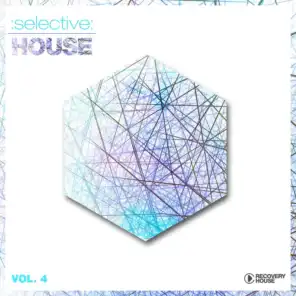 Selective: House Vol. 4