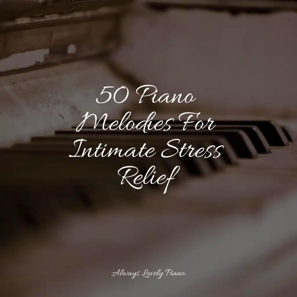 Dew on Morning Grass