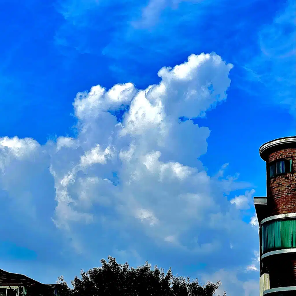 아름다운밤이야아름다운삶이야아름다운순간놓치기싫어난