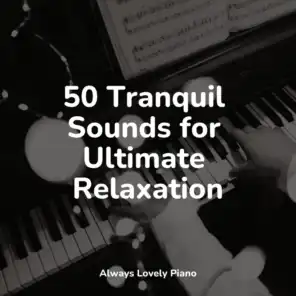 50 Tranquil Sounds for Ultimate Relaxation