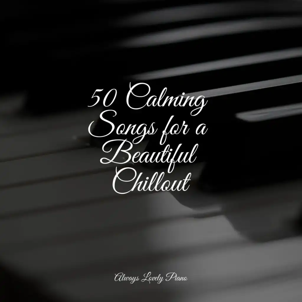 50 Calming Songs for a Beautiful Chillout