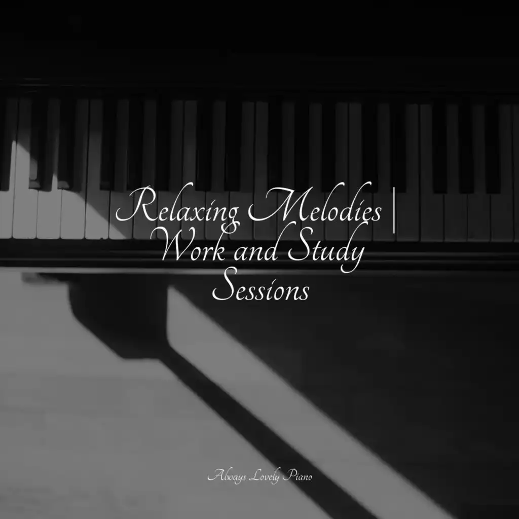 Relaxing Melodies | Work and Study Sessions