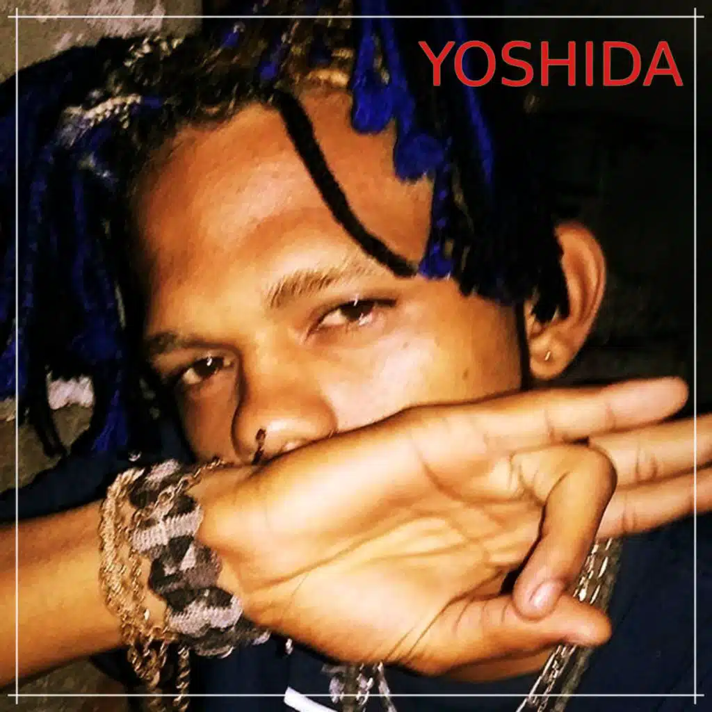 Novo, Negro, Gato e Ninja