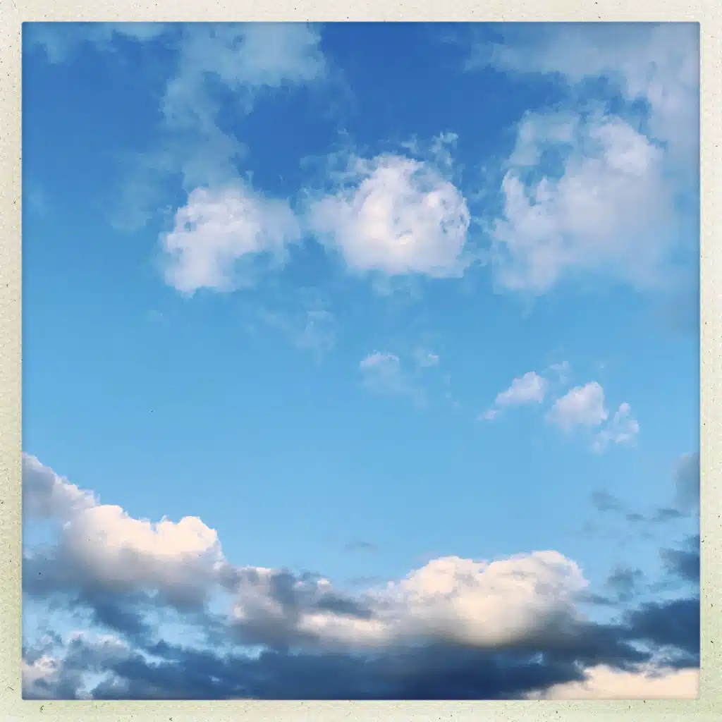 Homestead Rain (Rain)