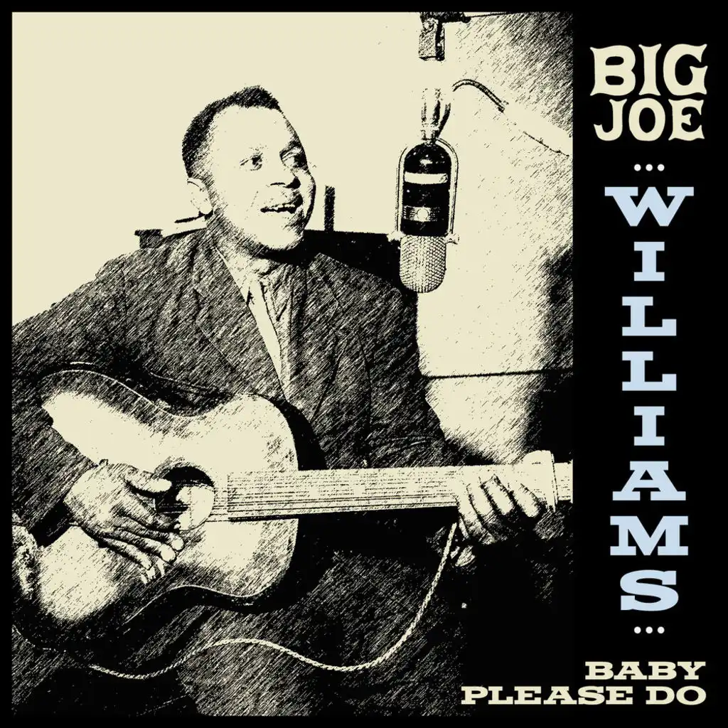 Big Joe Williams - Baby Please Do