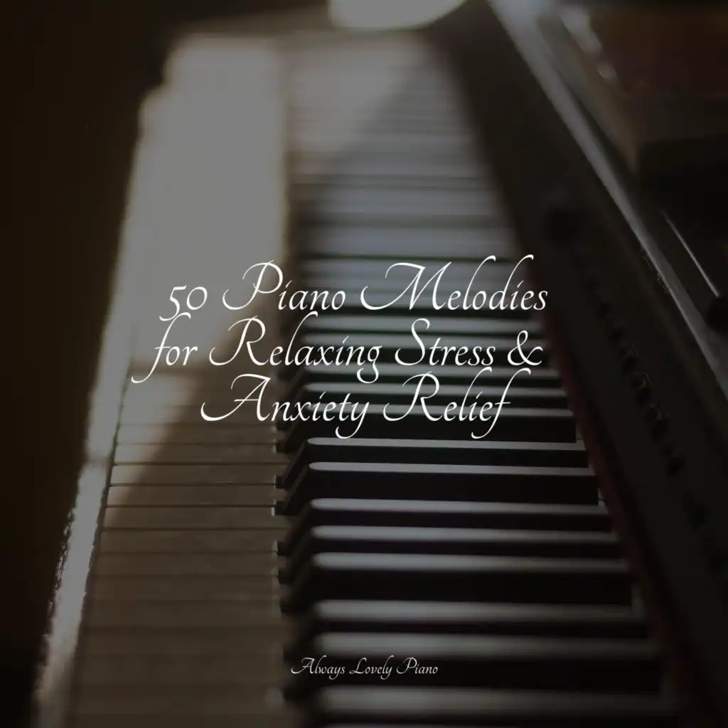 50 Piano Melodies for Relaxing Stress & Anxiety Relief