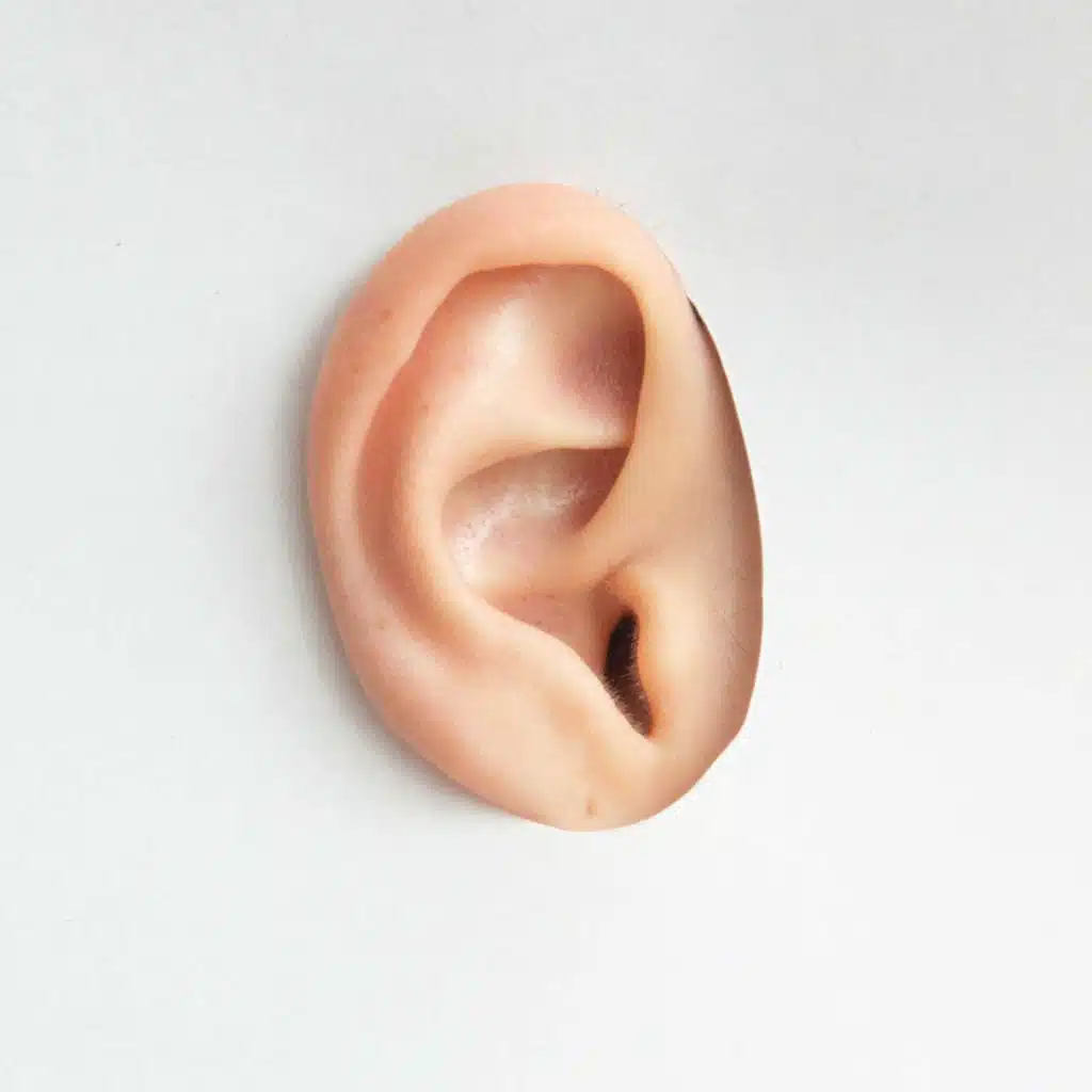 التجاهل والتغافل ..من أخلاق العظماء