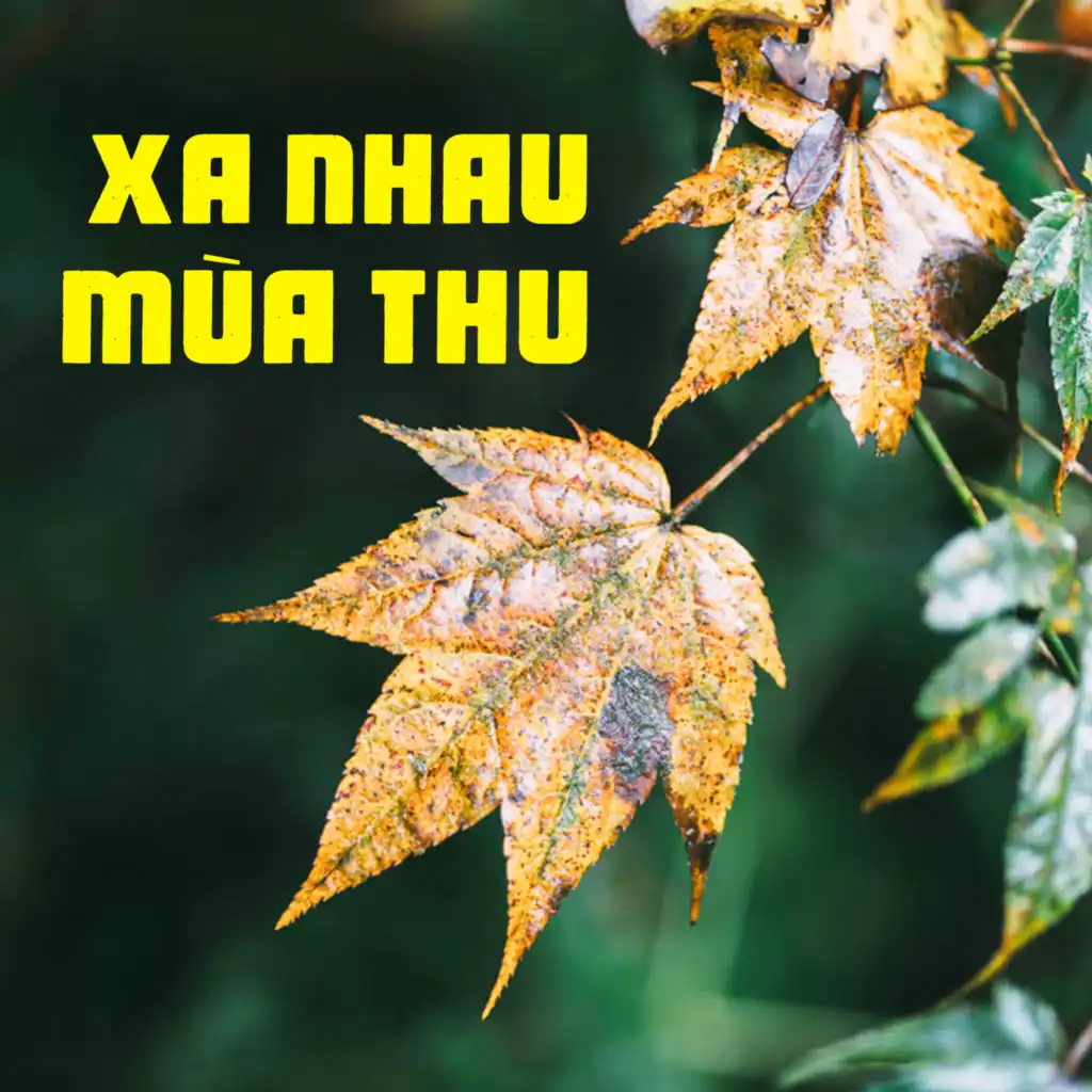 Giọt mưa thu (Instrumental)