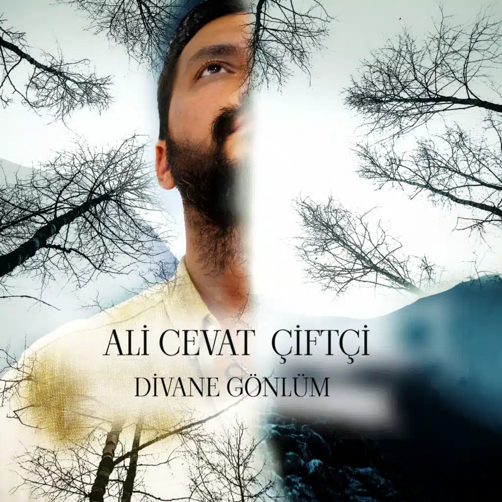 Ali Cevat Çiftçi