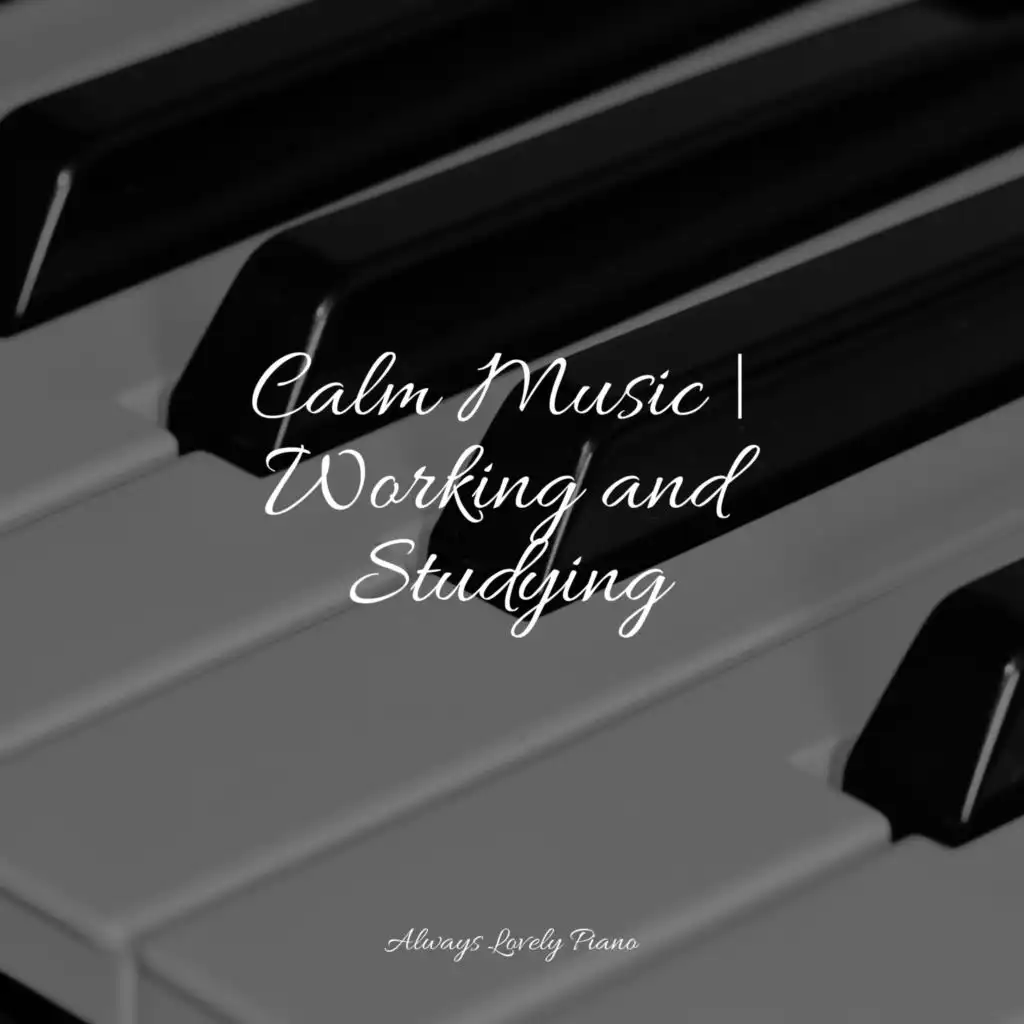 Calm Music | Working and Studying