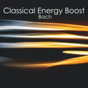 J.S. Bach: Partita for Violin Solo No. 3 in E Major, BWV 1006 - I. Preludio