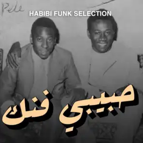 Habibi Funk - Arabic Funk, Disco, Jazz and more