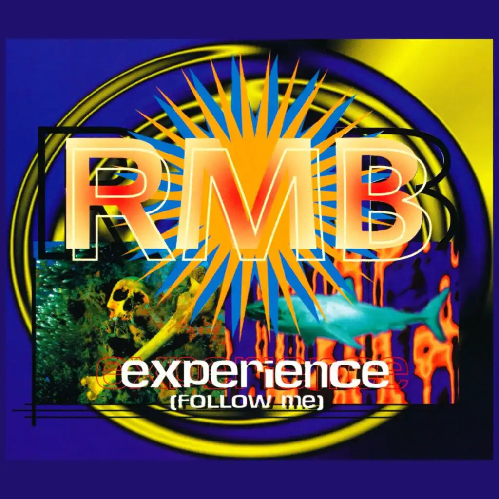 Experience (Follow Me) [Enhanced Version]