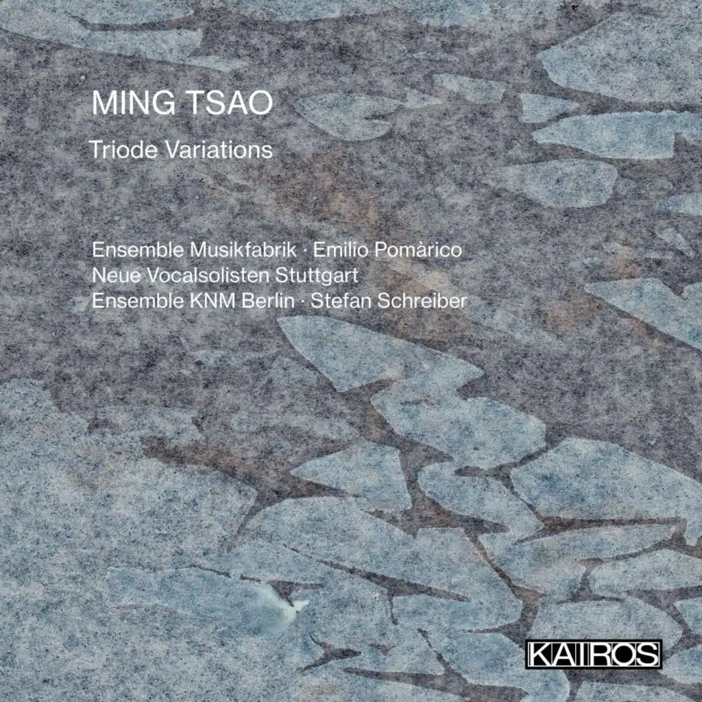 Das Wassergewordene Kanonbuch (2016-17) for Chamber Choir: Das Geschriebene