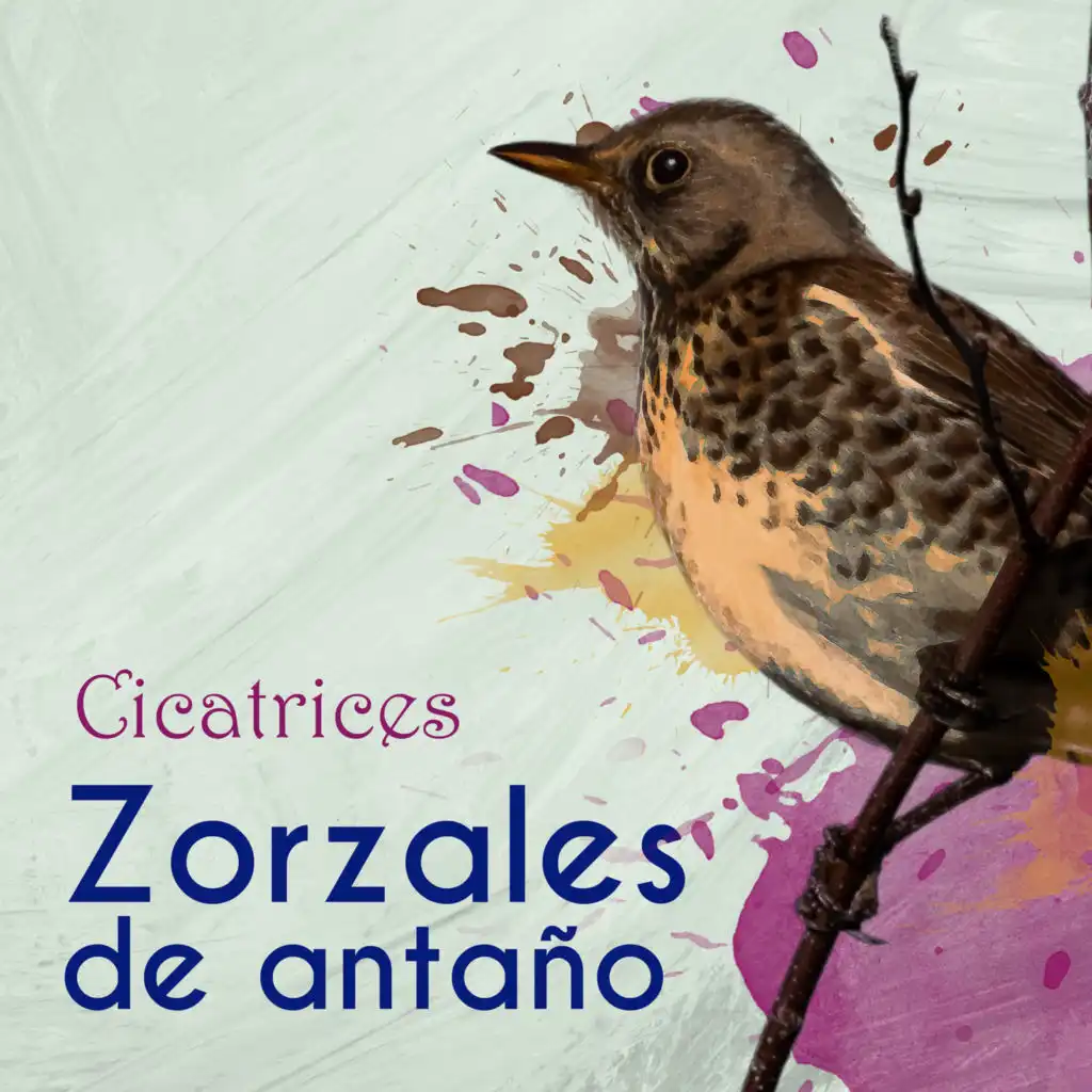 Zorzales de Antaño / Cicatrices